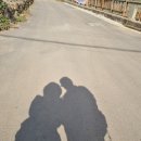 하얀여행(주) 이미지