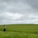 태봉로L 이미지