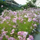 완우농장 이미지