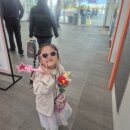 영덕대게 | [경북] 3월 영덕 축제 아이와 가볼 만한 곳 2026 영덕대게축제 후기