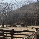 도학야영장 이미지