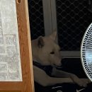 영화마을묵동점 | 어느새 가을이 스며든 일상