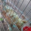 운봉동물병원 이미지