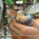 노루와사슴유치원 | 인천실내동물원 쥬벅스 다녀온 후기인천 아이랑 가볼만한곳 추천! 실내동물원 쥬벅스 후기