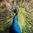 구천중학교 이미지