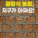 정아농장 이미지