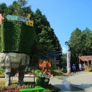 힐링건강랜드 이미지