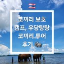 코끼리 환경 | 푸켓 시레이 프라이빗 비치 코끼리 보호 캠프, 우당탕탕 코끼리 투어 후기 🐘 (인터파크투어 예약)