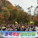 M복싱클럽 이미지