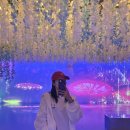광주근교놀거리 담양 데이트 소아르떼 미디어센터 관람 후기