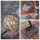 비응남로 이미지