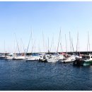 사계절횟집 이미지