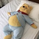 느낌있개 | 임신 33주 일상 먹고-놀고-자고 (먹놀잠)