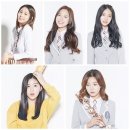 '프로듀스101' 개인연습생 잡아라!…기획사 영입 경쟁 '점화' 이미지