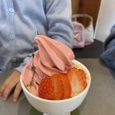카페 파라 이미지