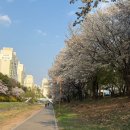 만나교회 밑 이미지