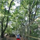 내곡동438 이미지