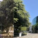 (주)바이오타이드 이미지