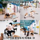 주견야독 이미지