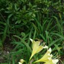 불광1-031 이미지