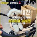 (주) 다온스포츠 | 대전 현대 프리미엄 아울렛 애견동반 - 강아지 유모차 대여 정보, 주차장 꿀팁 후기