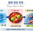 Re: 자발적 대칭 깨짐 이론과 관련된 장(field) - 질량 생성 과정 이미지