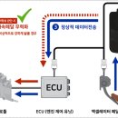 개인화물637