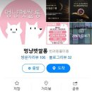 멍냥펫살롱 이미지
