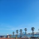 장생포고래집 | 울산 장생포 고래생태체험관 솔직 후기:실내라 계절 상관없이 좋은 곳