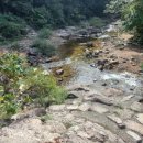 솔향기힐링펜션 이미지