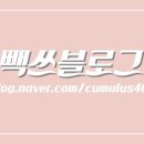위플미플