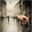 나, 비야 이미지