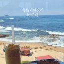 [강원] 속초 해수욕장 카페 애견 동반 가능한 뷰 맛집 커피장사