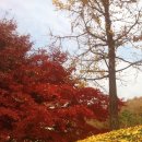 나노아이엔씨 이미지