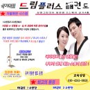 국가대표 드림플러스 태권도 이미지