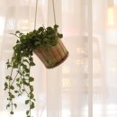 라탄공예(주간) 이미지