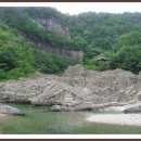 양지-3573 이미지