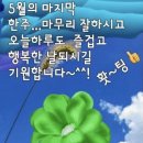 송백 티스토리