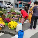 풍각시장 이미지