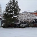 반딧불자연캠핑장 이미지