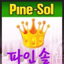 네일이이뽀야 | 꺄~ 파인솔 서포터즈 1기 당첨자 발표!!