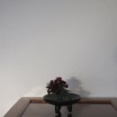 태고스튜디오 이미지