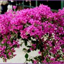 성산별장 이미지