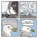[천안/대전/서울/안동/강릉] 겨울 모음
