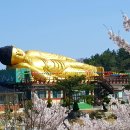 대불근린공원 이미지