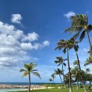 편한, 안 정신건강의학과의원 | 편한,안 정신건강의학과 8월 진료일정입니다