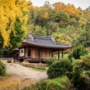 영주 일우정 이미지
