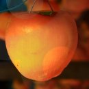 영동청소년수련관 이미지