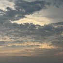 일산1리 | 뜨거운 여름밤은 가고 남은 것은