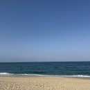 바라던바다 이미지